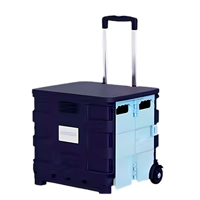 CARRO DE COMPRAS PEGABLE 2 RUEDAS